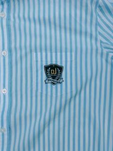 cotton Blue Striped Men's Shirt
