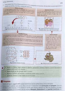Objective NCERT At Your Fingertips Biology