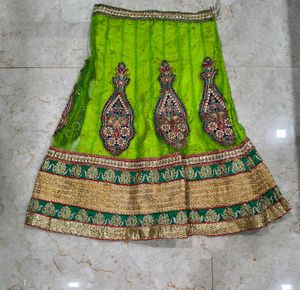 Elegant Lehenga Choli