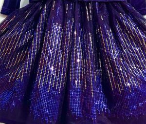 Sparkly Blue Velvet limited edition Dress