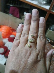 Arti Finger Rings - Set of 12