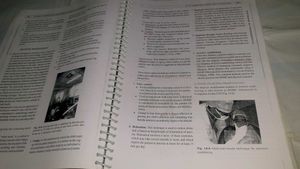 Textbook of Pedodontics 2nd Edition