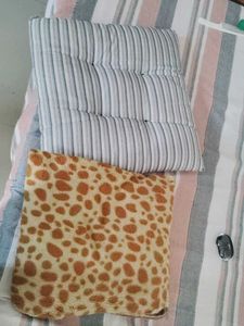 Decorative Throw Pillow & Seat Cushion Set