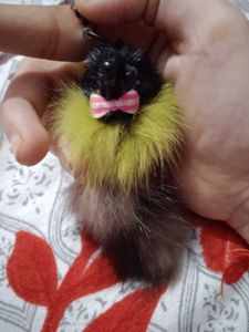 Cute Fluffy Animal Keychain with Yellow Fur, Black
