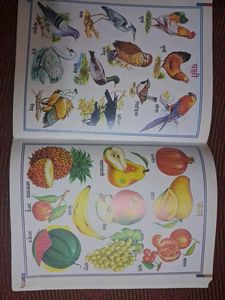 hindi book for nursery