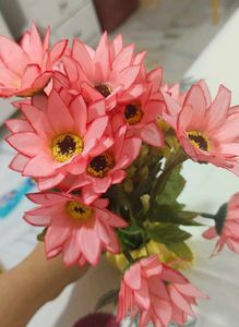Cute Cactus Flower Pot