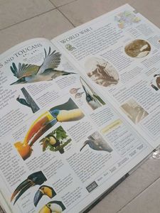 DK Illustrated Family Encyclopedia Vol 15 U-Z