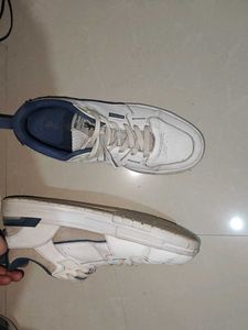 Men's White &amp; Blue Sneakers