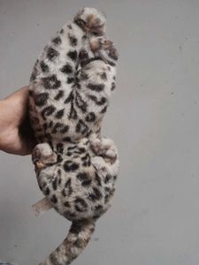 Realistic Leopard Plush Toy