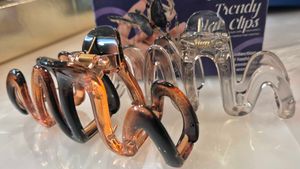 Trendy Claw Clips Set