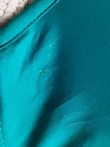 Teal Push-Up Bra with Bow Detail
