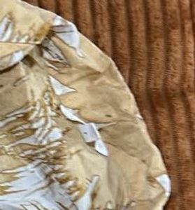 H&amp;M Stylish Tropical Print Crop Shirt