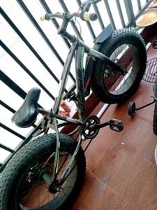Harlan Fat Tire Bicycle