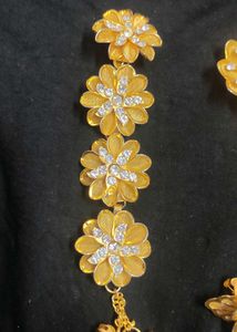 Hair Clips And Saree Brouch
