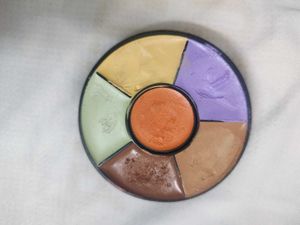 Insight Pro Concealer Palette
