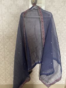 organza dupatta with sequence work four side print