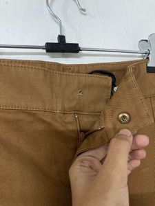 ZARA Brown Cargo Pants