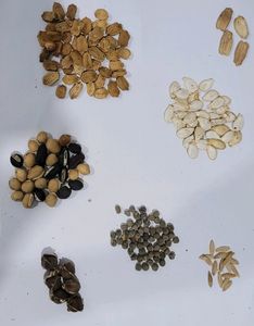 Pack 11  Plates2 &amp; Seeds 9 vairty