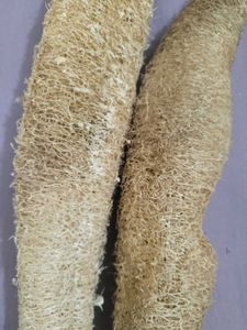 Natural Loofah Sponges (Set of 2)