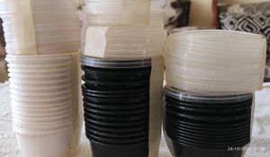 Set of Food Containers