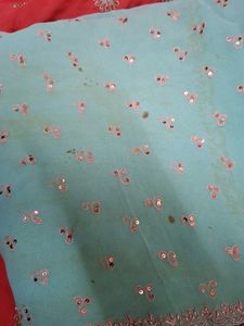 Elegant Embroidered Hand Work Saree