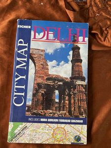 Vintage Delhi city Map