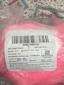 Cute Pink Plush Toy