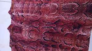 Stylish Snake Print Top