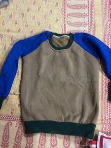 Color Block Crewneck Sweatshirt