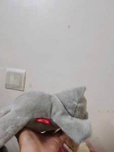 kawaii cat