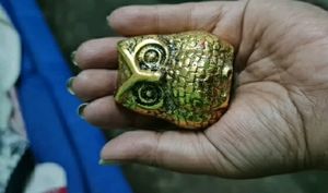 Puja Articles