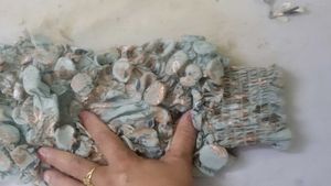 Unique Embellished Sleeve Blouse not wearing  more