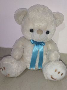 Cute Teddy Bear