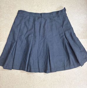 Pleated A-Line Skirt