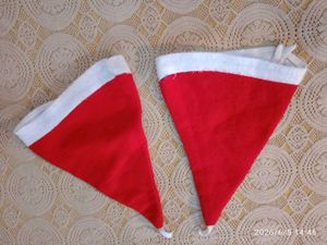 2 Santa Hats for Festive Fun