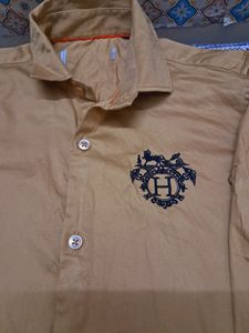 Party Wear Beautiful Boys Shirt