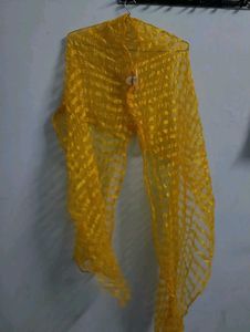 Vibrant Yellow Net Dupatta stall scarf