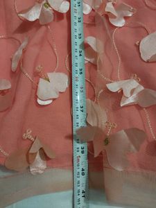 Peach Tulle Skirt with 🦋 Appliques