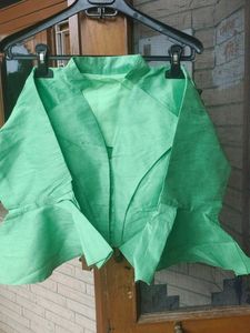 Pista Green Color Petturn Blause