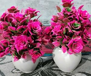SP Enterprises Bonsai Rose Artificial