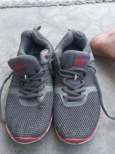 Unisex Shoes Can Be Used By Both Male Anf Female