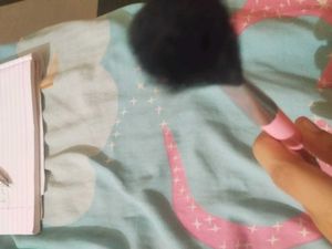 Pink Makeup Brush