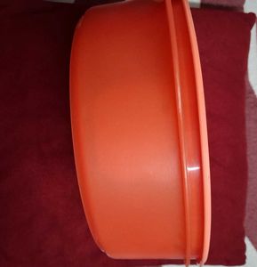 Signoraware Container with Lid
