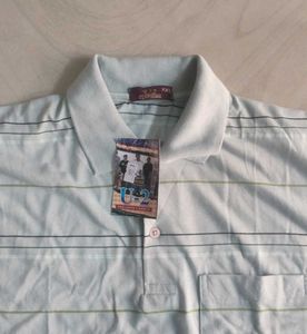 Striped Polo Shirt