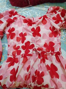 Korean Floral Print Mini Dress