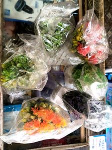 Vibrant Artificial Plants - Set of 6