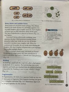 ICSE Living Science Biology Book