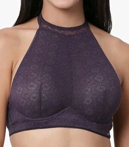 Enamor Lace Halter Bra