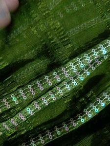 Green Embellished Saree