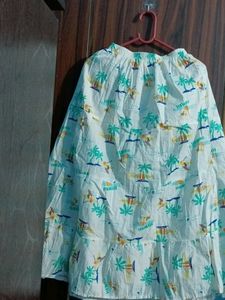 skirt (1)